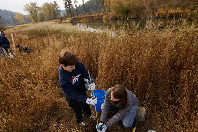 Photos from Reforest Spokane Day