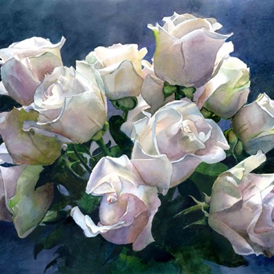 Watercolor, white roses.