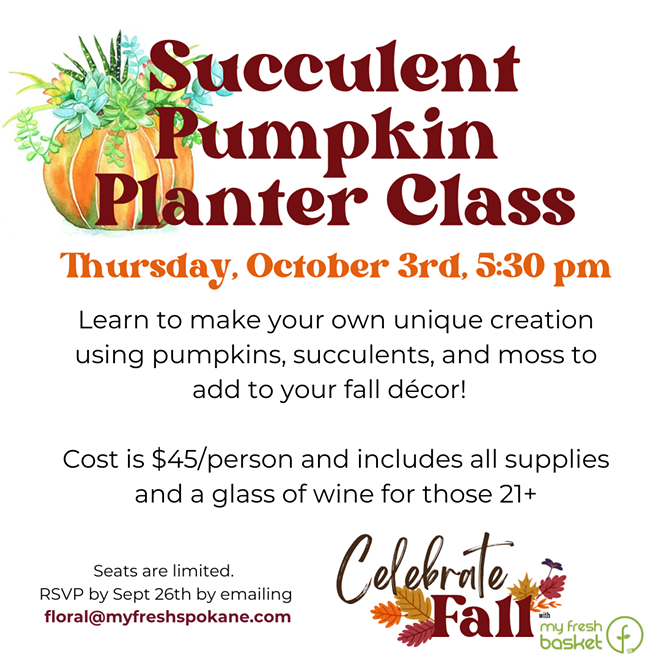 Succulent Pumpkin Planter Class