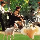 Image: Summer Family Matinee: The Secret Garden