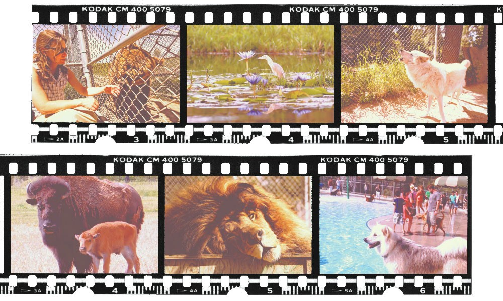 Summer Guide 2014: Animals