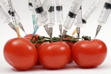 Syringes, gas masks and Frankenfood: Visuals of the GMO debate