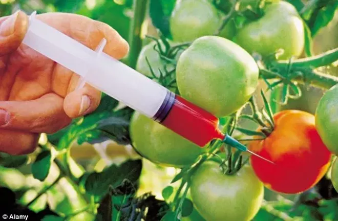 Syringes, gas masks and Frankenfood: Visuals of the GMO debate