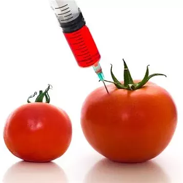 Syringes, gas masks and Frankenfood: Visuals of the GMO debate