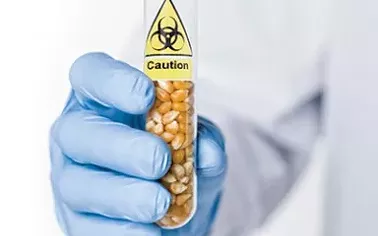 Syringes, gas masks and Frankenfood: Visuals of the GMO debate