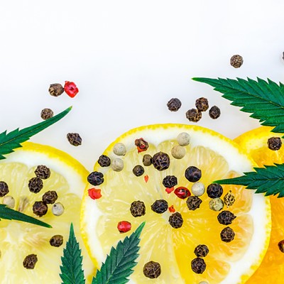 Take your cannabis knowledge to the next level with a crash course in these odorous chemicals