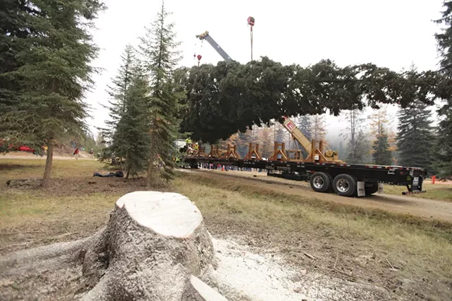 PHOTOS: U.S. Capitol Christmas Tree Cutting