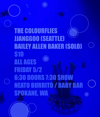 Image: The Colourflies, Jjanggoo, Bailey Allen Baker