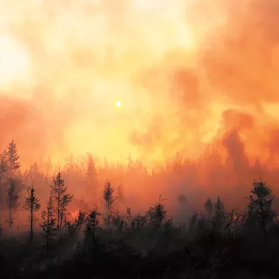 Image: The Pacific Northwest has a long history of devastating wildfires, but today's megafires are something entirely new