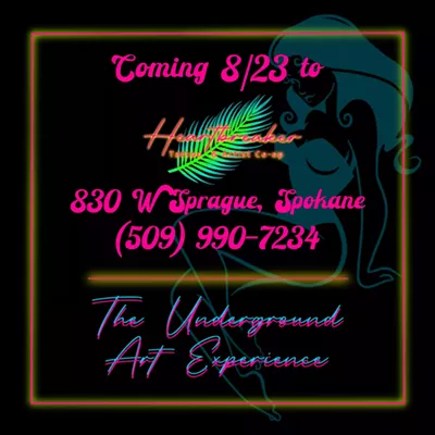 Image: The Underground Art Experience