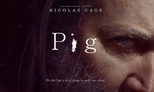 ttm_pig.webp