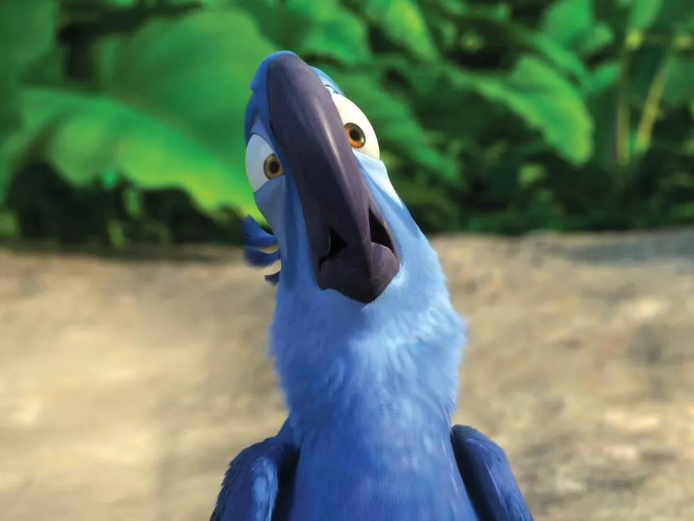 Brazil Nuts Movie Reviews Spokane The Pacific Northwest Inlander