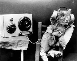 THIS WEEKEND IN MUSIC: Begin! Spiders! Appleseed!