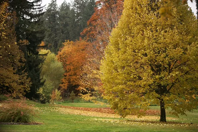 PHOTOS: Fall Leaf Festival