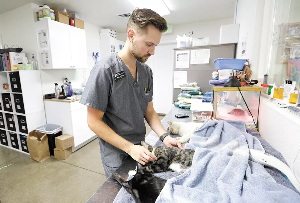 More than a decade ago, Kyle Fortune found his place at the Spokane Humane Society