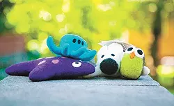 Gifts for Furry Friends
