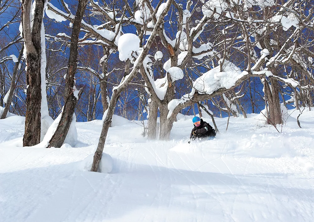 Getting there was hell, but skiing in Japan didn't disappoint