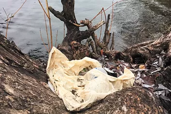 Plastic bag bill passes, vaccinating teen testifies, and other headlines