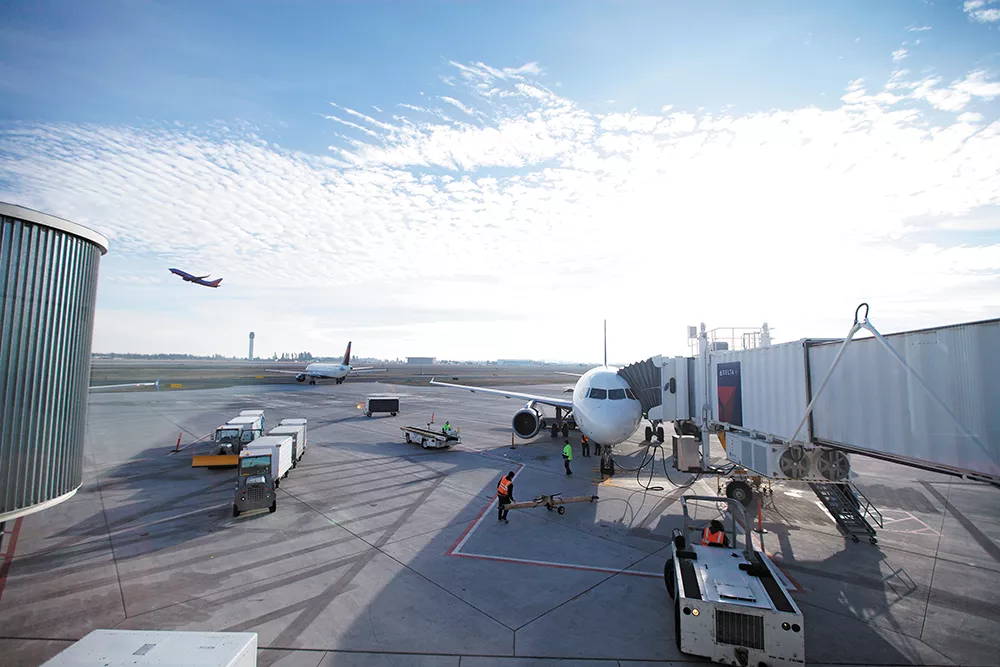 So you brought weed to the airport. What happens next?