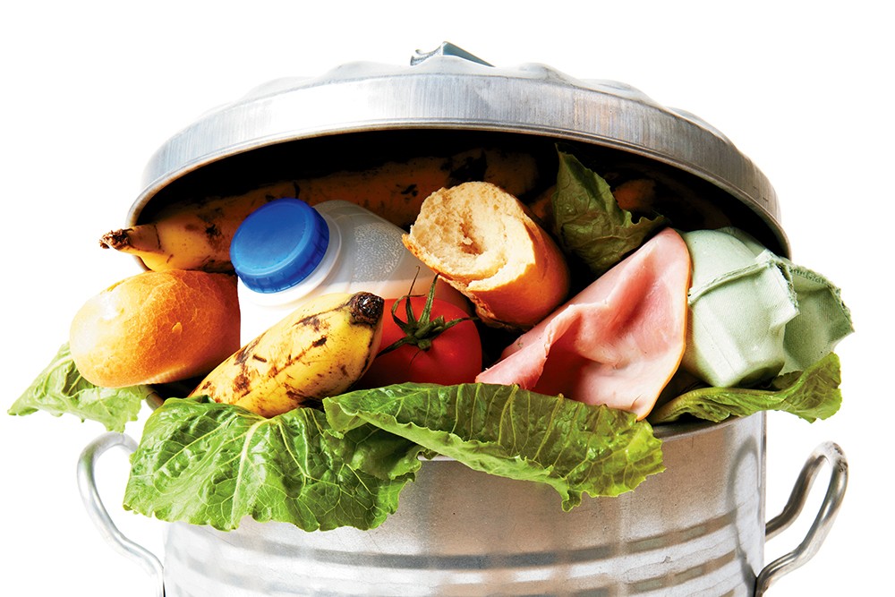 Is wasting food America's stupidest problem?