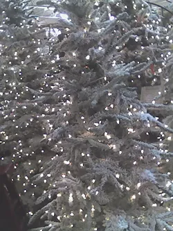 Ditch those Christmas trees and ring in the New Year, Pavilion style