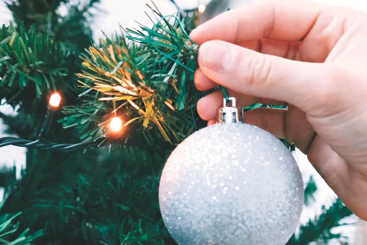 Getting into the Christmas spirit super early &#10;is helping curb this winter's drear and the pandemic blues