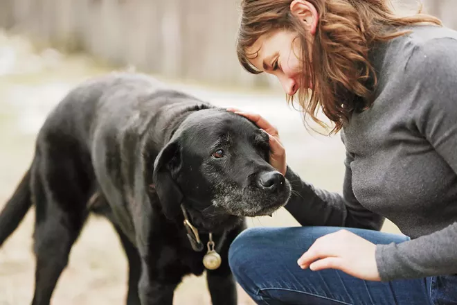 The continuing quest to stop downtown Spokane's sidewalks from electrocuting dogs