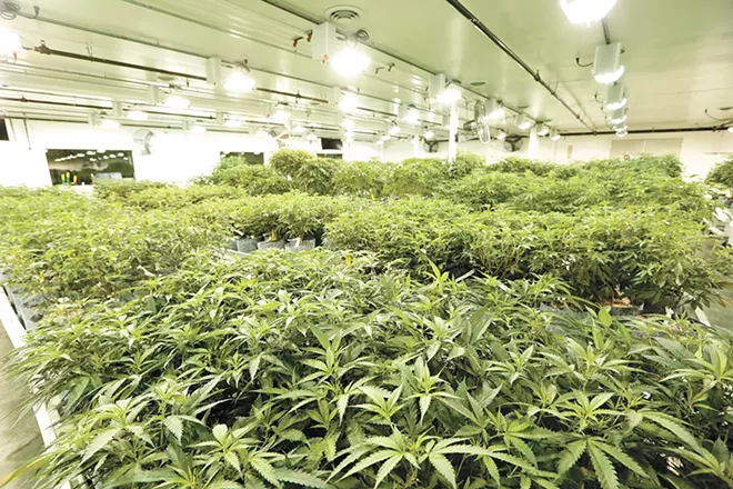 How $1 billion in pot taxes gets spent in Washington state