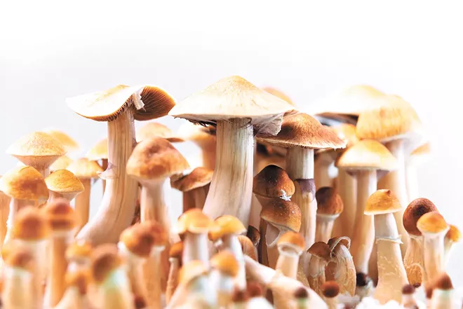 Oregon marijuana raid, Schedule I research recommendations and psilocybin make news