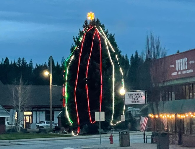 Newport man bashes town's 'pathetic' Christmas tree, rekindles community spirit (2)