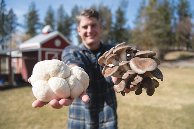 Two local beekeepers embark on a journey growing mushrooms as Far Land Fungi