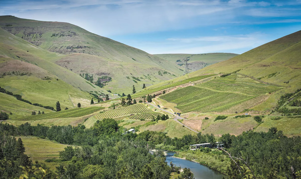 The owners of Colter's Creek revived a nearly defunct vineyard and now share the fruits of their labor with a new generation