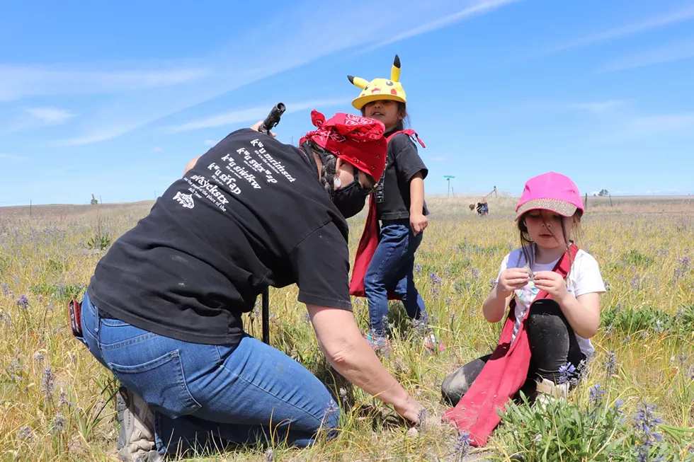 In a field outside Fishtrap, Salish School of Spokane kindergartners touch their history — the delicious camas root — and carry their cultural connections into the future