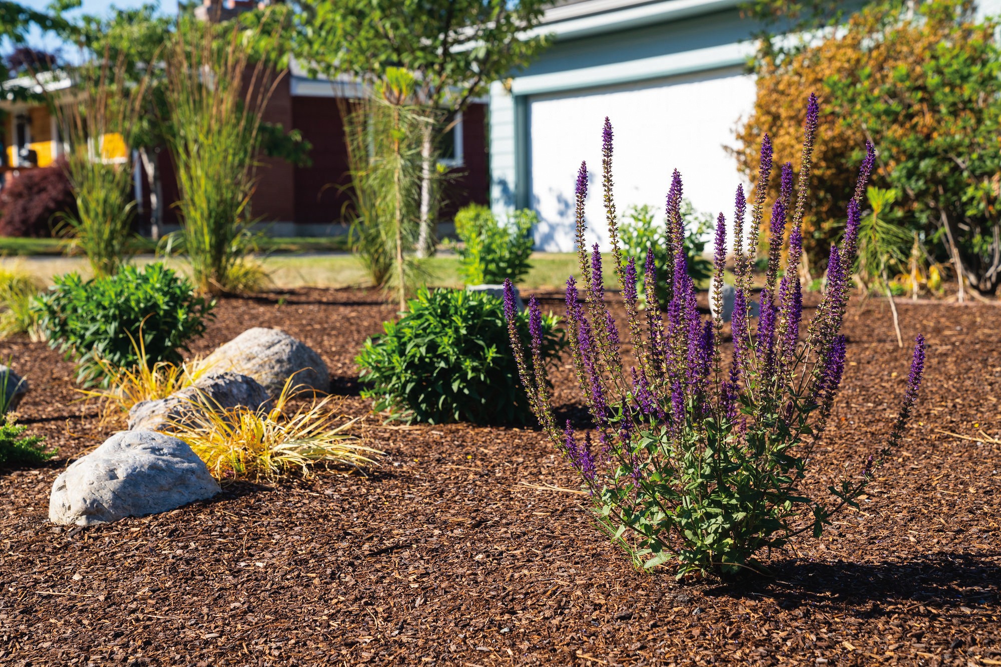 Xeriscaping is a way to save water and reduce maintenance - all without sacrificing curb appeal