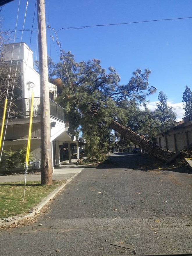 What we know so far about the record-setting windstorm that tore through the PNW
