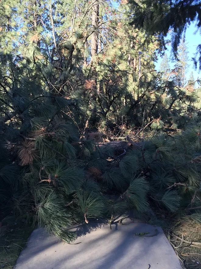 PHOTOS: Whitworth University ravaged by storm; nobody hurt