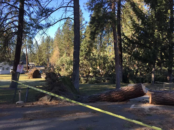 PHOTOS: Whitworth University ravaged by storm; nobody hurt
