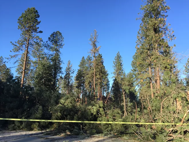 PHOTOS: Whitworth University ravaged by storm; nobody hurt
