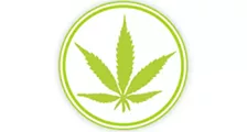 Star Wars, more weed shops (maybe) and other news you need to know