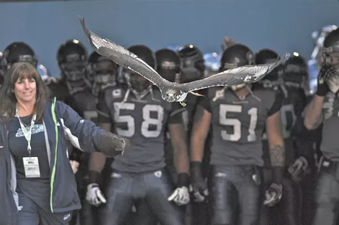 Taima the Hawk visits the Seahawks' new Valley Pro Shop
