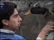 The Funniest GIFs