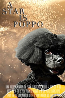 Poppopalooza fest memorializes Poppo the poodle, a local pup who starred in many short parody films (5)