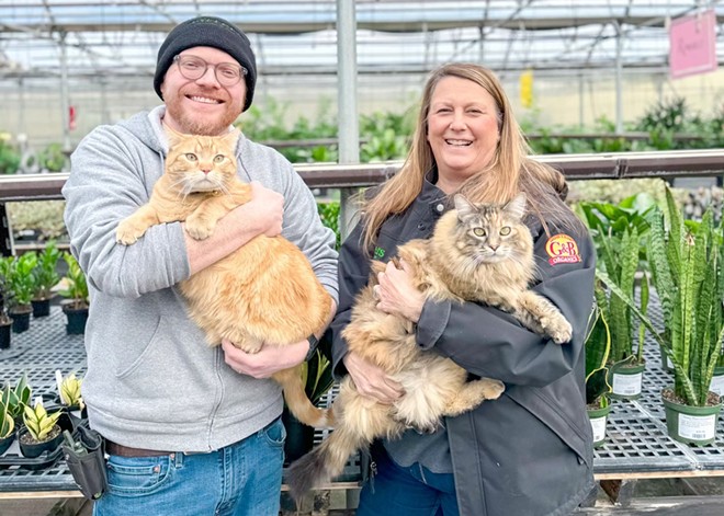Meet Ritters Garden &amp; Gifts' resident felines, Petunia and Felix