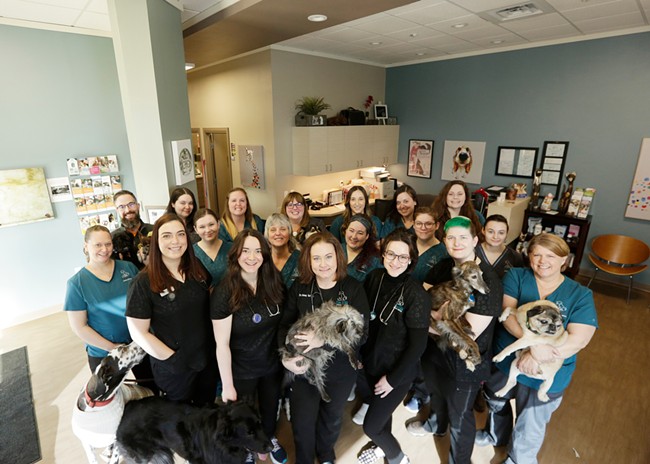 Best Veterinary Clinic: Union Animal Hospital