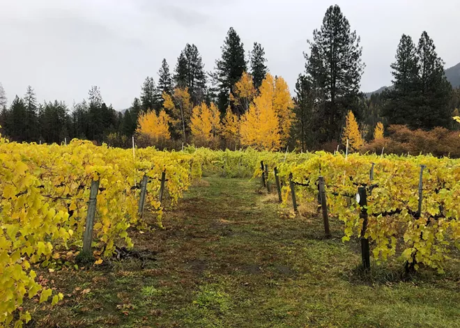 Ancient Sumerian wisdom and 1960s vibes combine at China Bend Winery