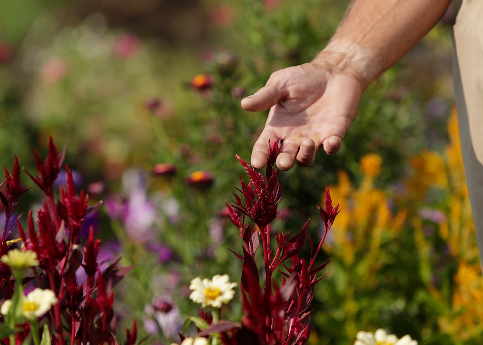 Nature-focused programs at &#10;Airway Heights Corrections Center improve prisoner health while &#10;providing food for the community