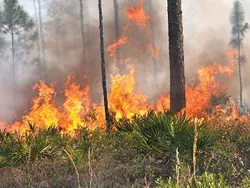 Wildfires rip through region, woman survives shooting and other morning headlines