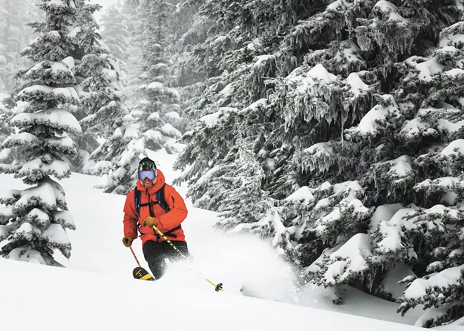 If you seek out the comforting embrace of our wooden chaperones of the high country, you will learn the secrets of tree skiing in the INW