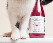 CAT FRIDAY: Our exclusive guide to gifts for the cats and cat people you know