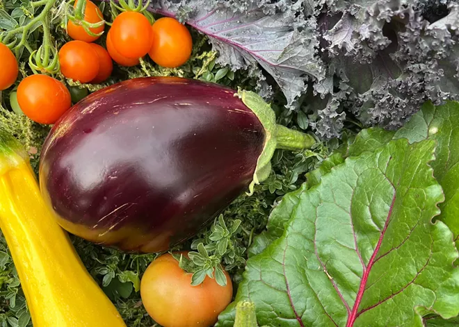 These Spokane-area gardening resources can help get your green thumb on this spring